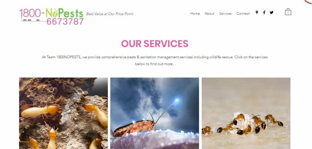1800NoPests Pte Ltd Homepage