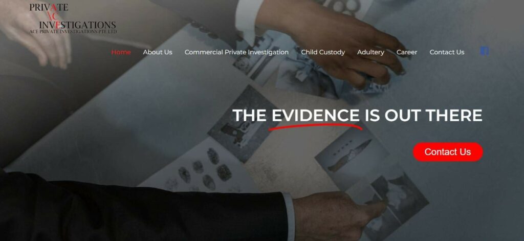 Ace Private Investigations Homepage