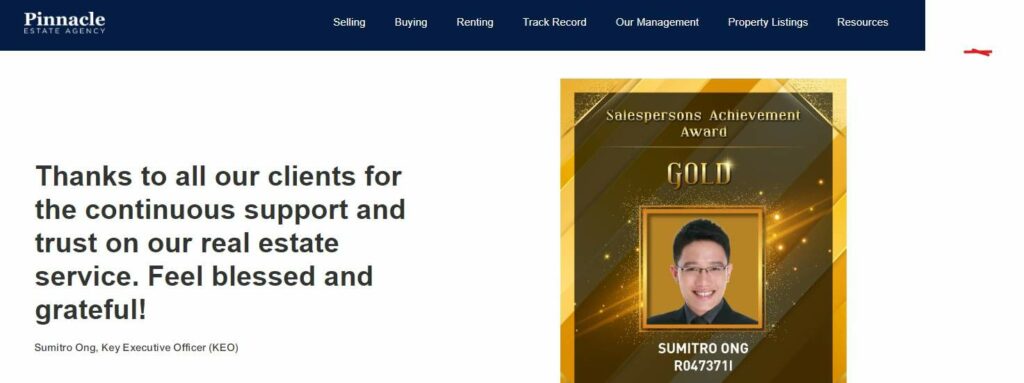 Pinnacle Estate Agency Homepage