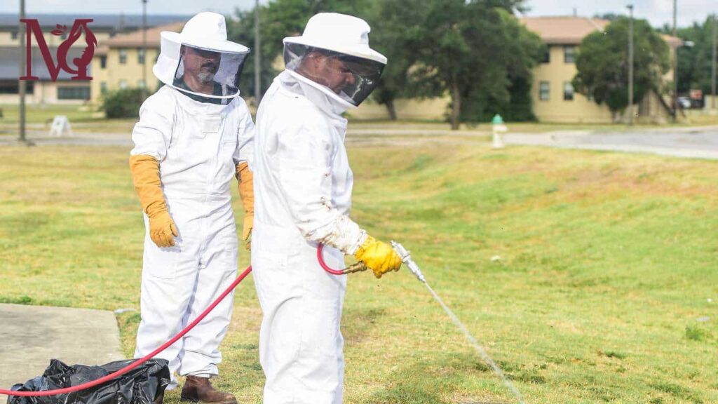 The 5 Best Pest Control Services in Singapore