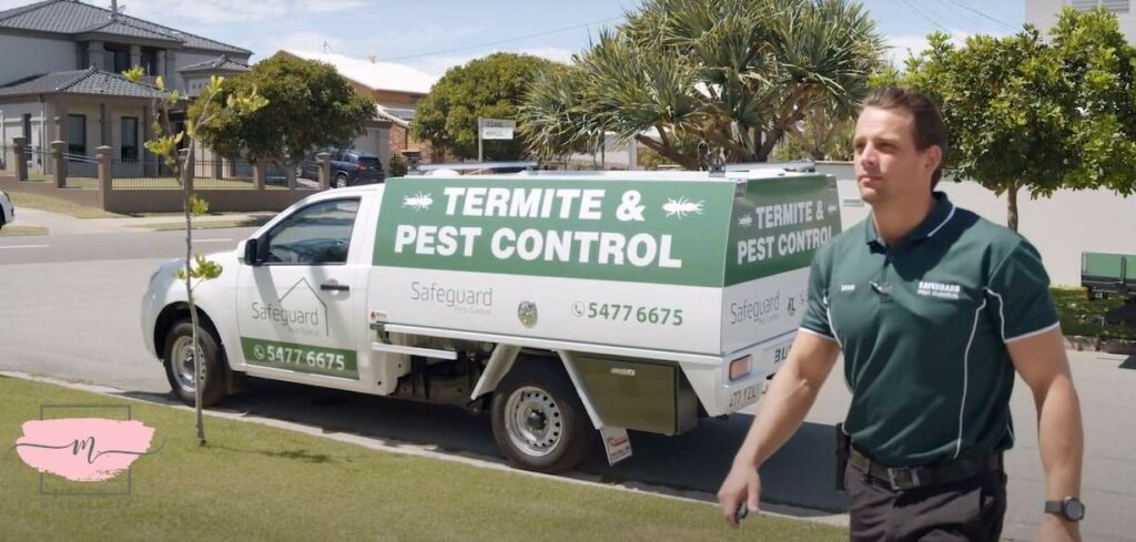 The 5 Best Termite Control Companies in Singapore