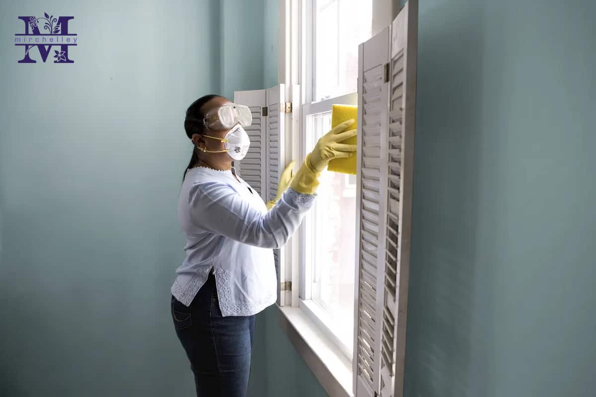 Top 5 Mold Removal Services in Singapore