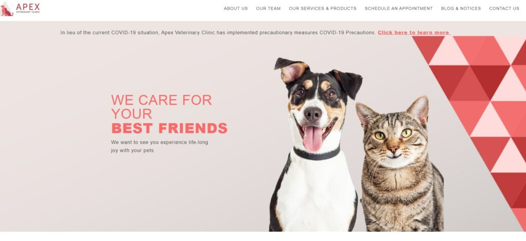 Apex's Homepage