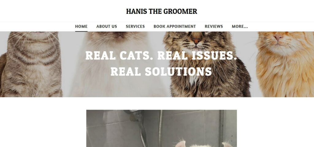Hanis's Homepage