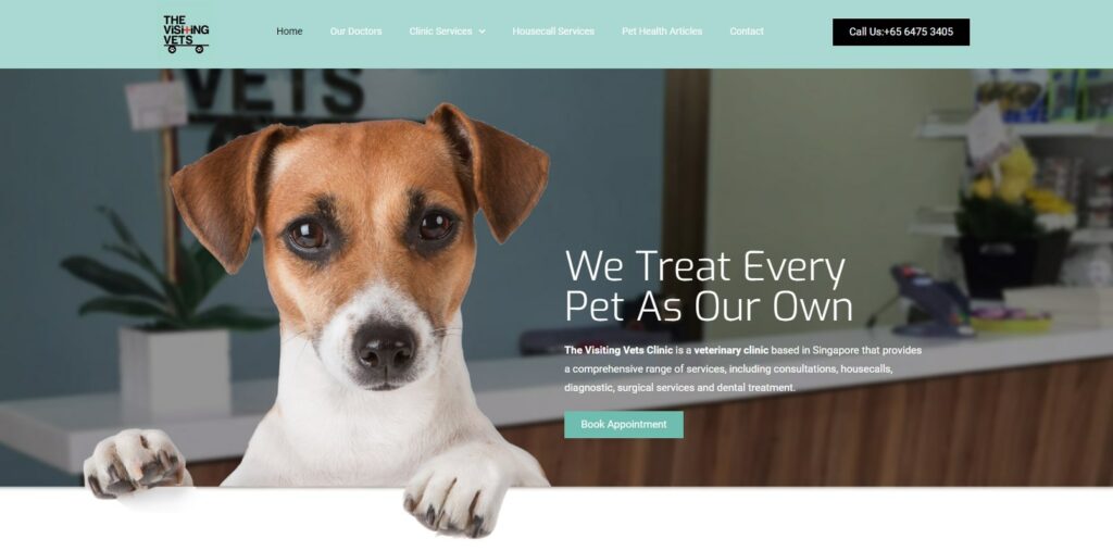 The Visiting Vets's Homepage