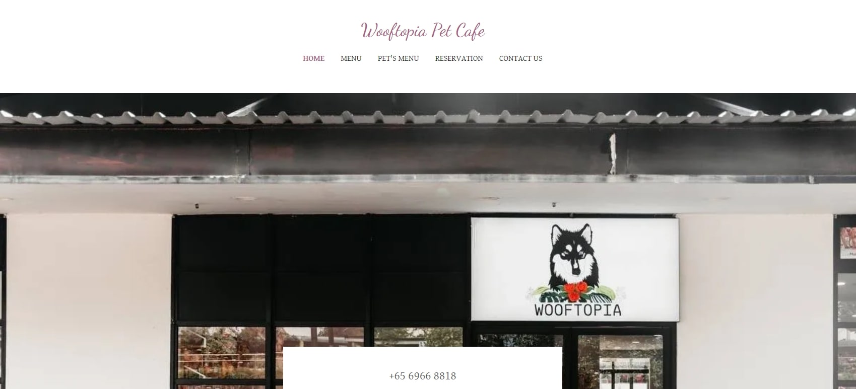 Top 5 Pet Cafes in Singapore [2026]