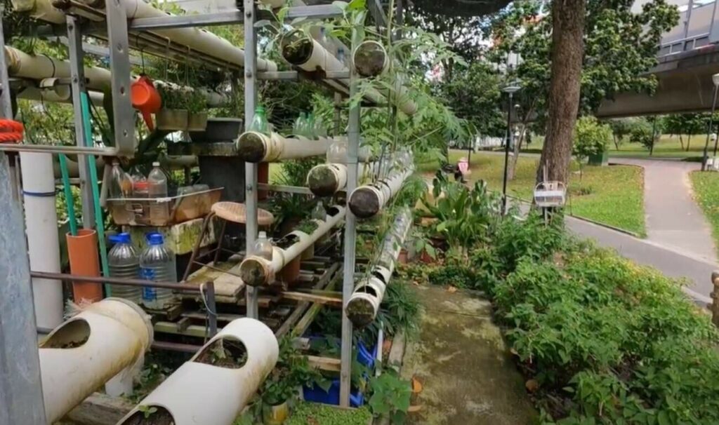 1. Explore the community garden area.