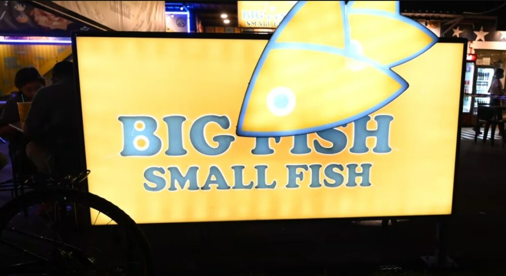 Big Fish Small Fish