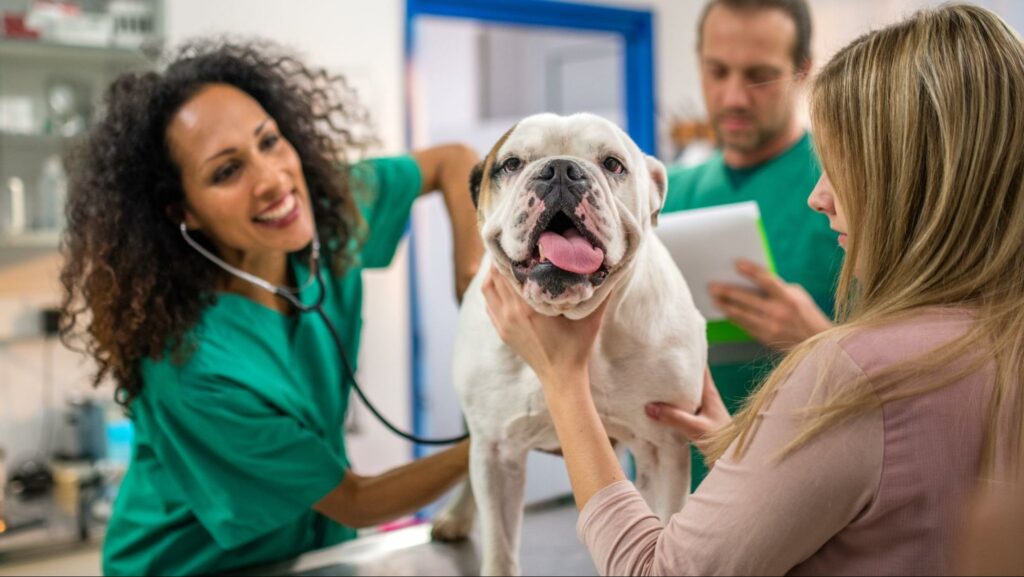 Availability of Veterinary Care