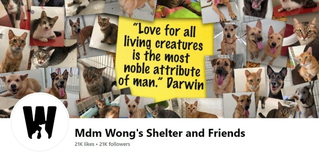 Madam Wong's Shelter and Friends