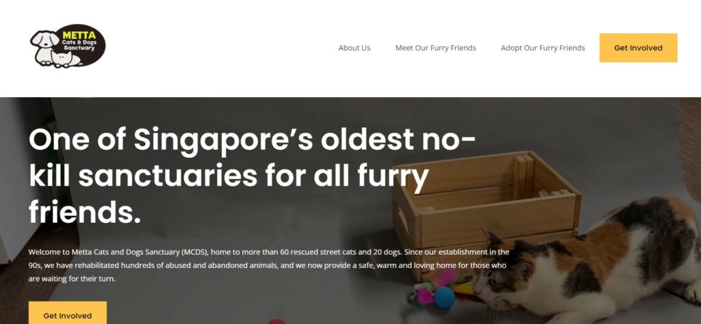 Mettacats & Dogs Sanctuary