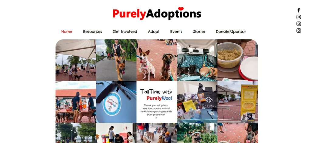 Purely Adoptions