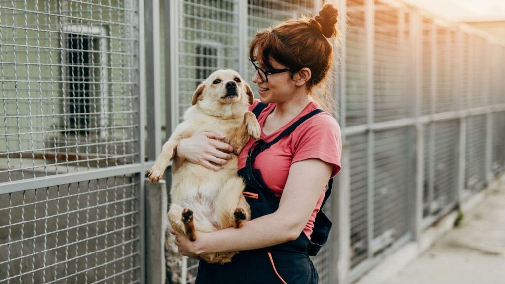 Things to Consider before Adopting a Dog in Singapore