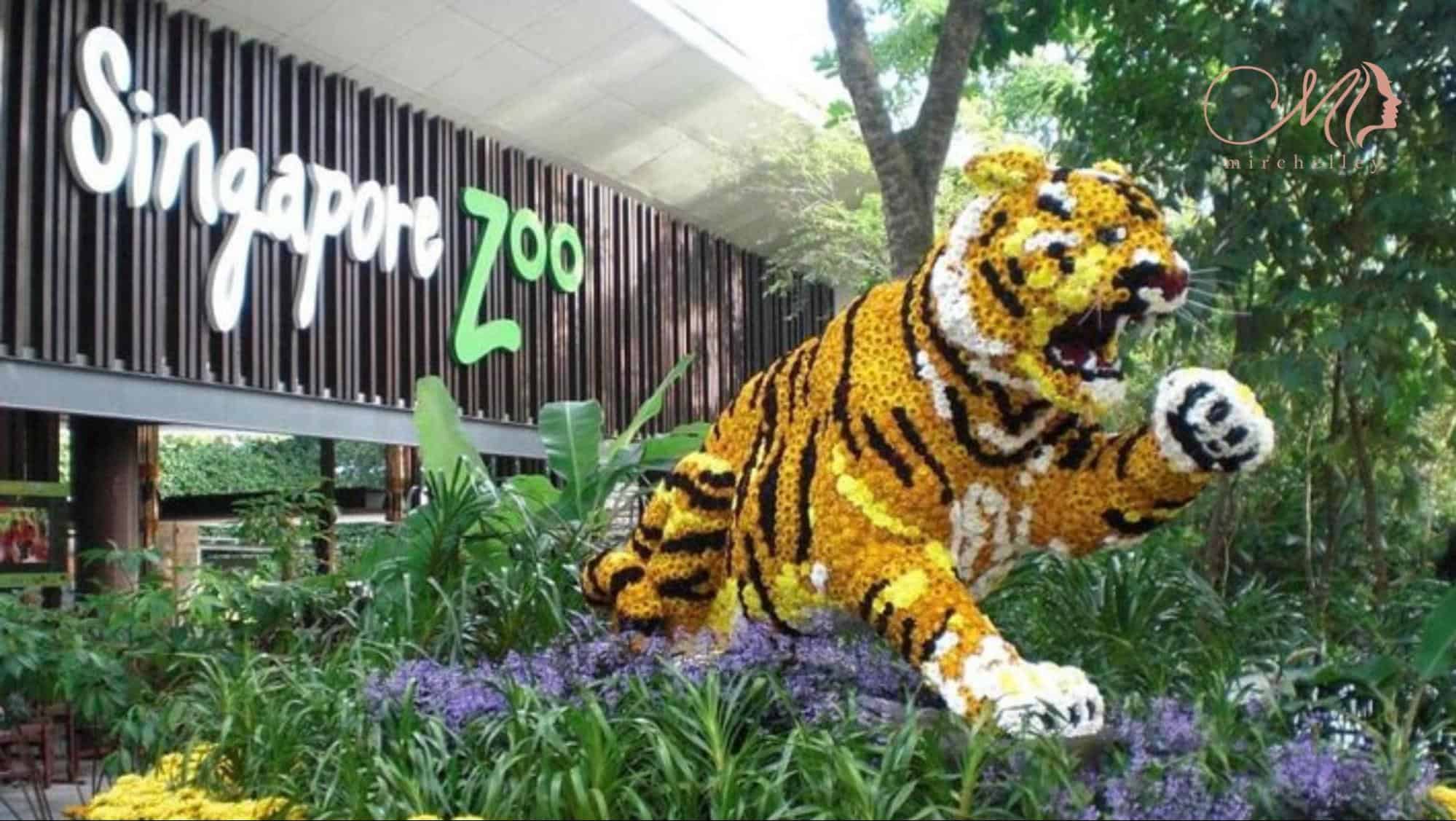 Unveiling the Wild Your Singapore Zoo Adventure Handbook