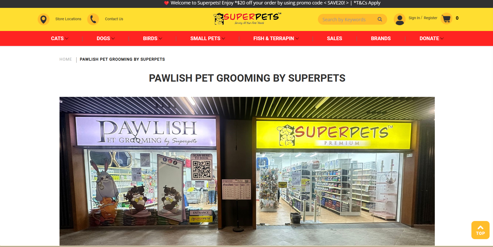 Curated visual reference: Picture Idea: The 15 Best Cat Grooming Services In Singapore 2026
