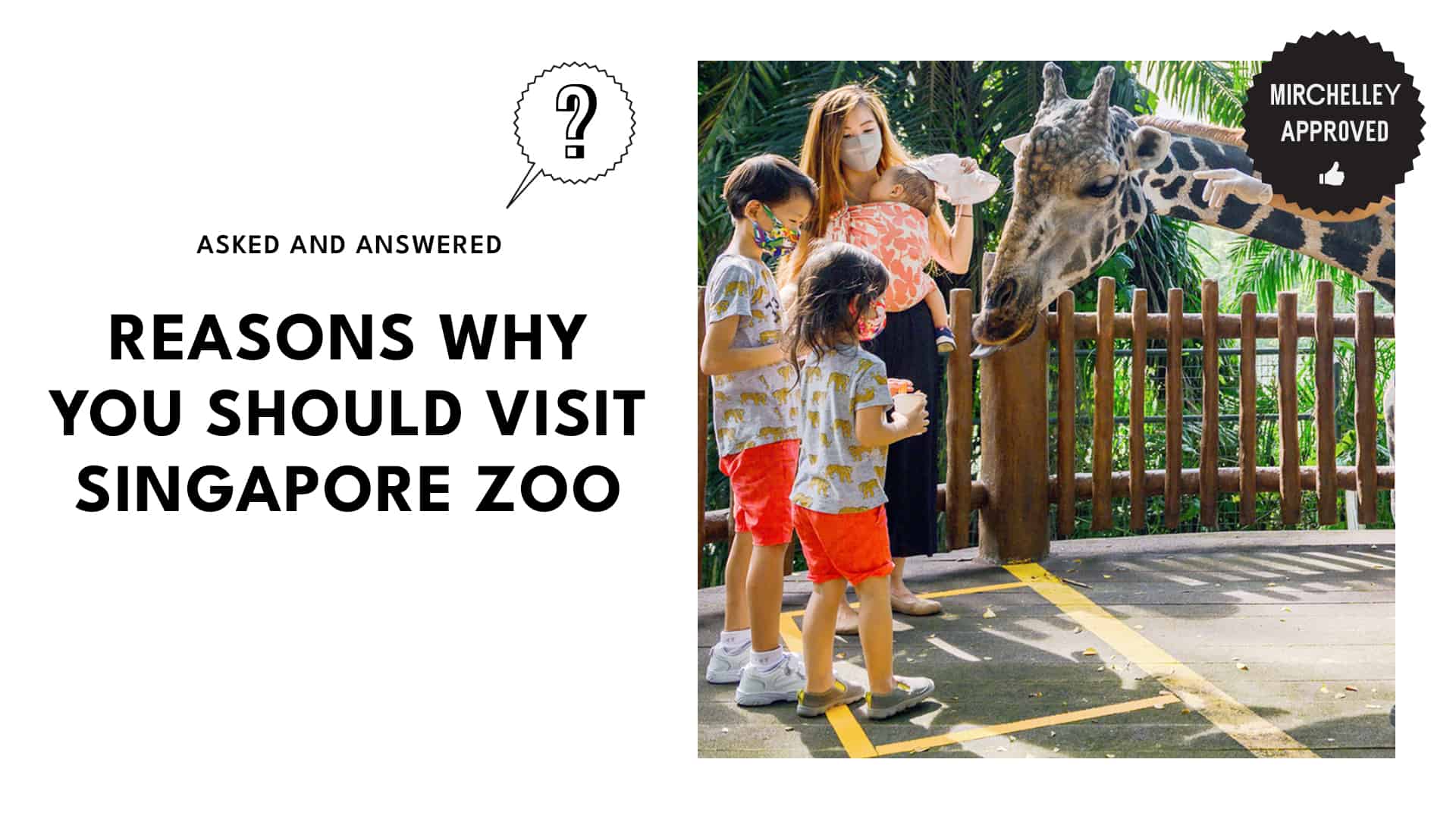 Top Reasons You Should Visit Singapore Zoo