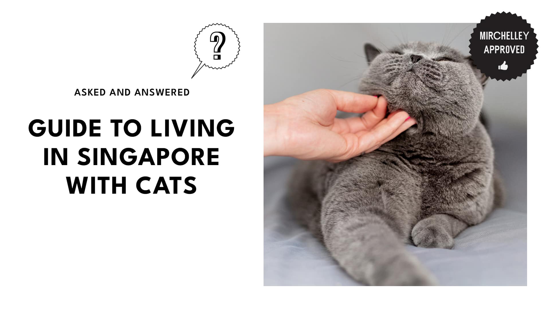 Guide to Living in Singapore with Cats [Legal Guidelines, Breed Considerations, and Cat-Friendly Cafes]