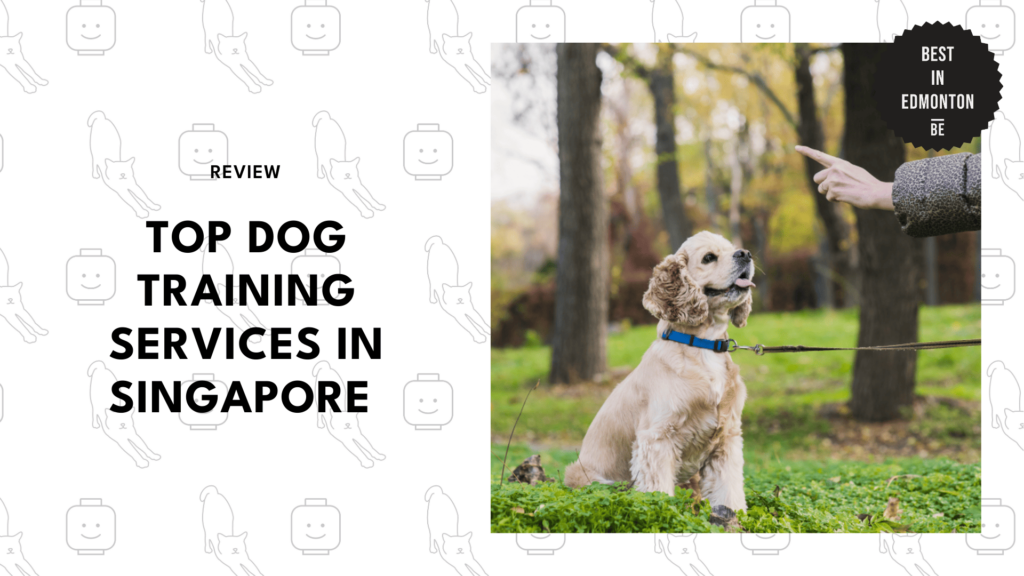 dog-training-services-singapore
