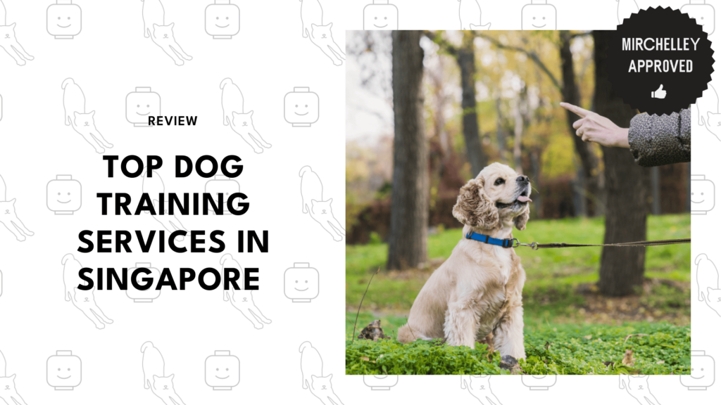 dog-training-singapore