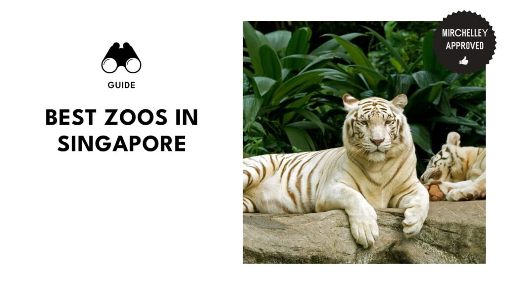 best-zoos-singapore