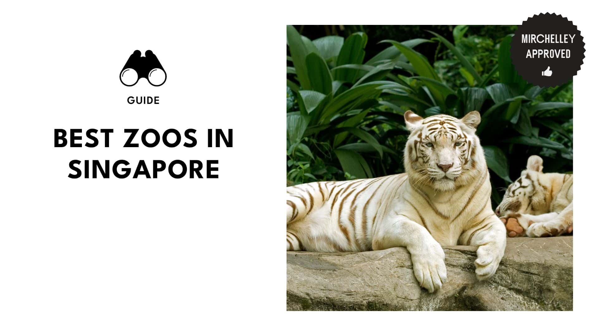 best-zoos-singapore