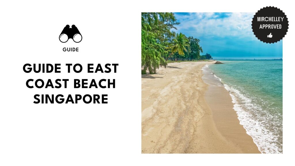 east-coast-beach-guide-banner