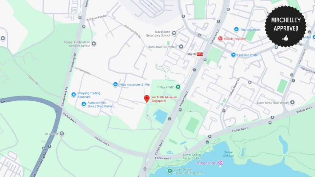 live-turtle-museum-map