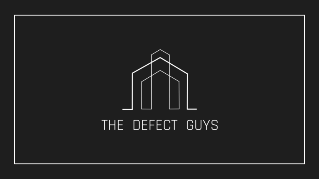 the-defect-guys-pte-ltd-logo
