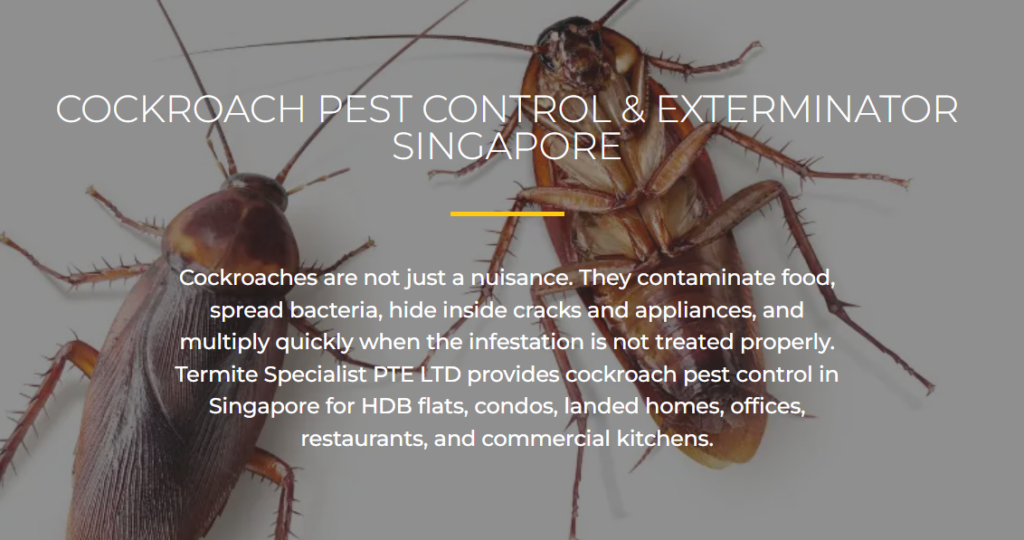 termite specialist - cockroach control