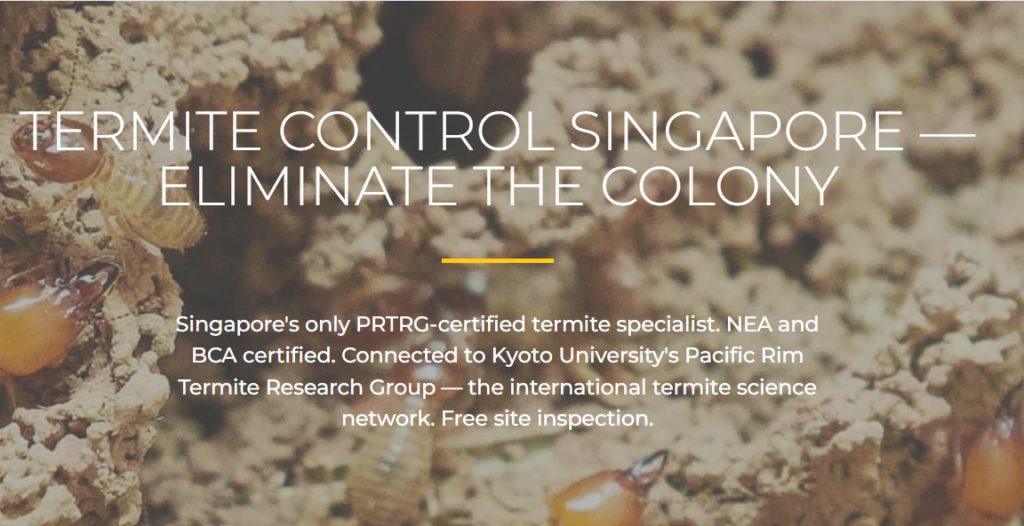 termite specialist - termite control