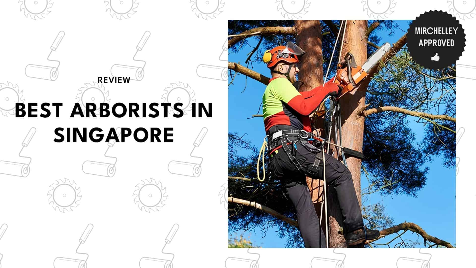 arborists-in-singapore