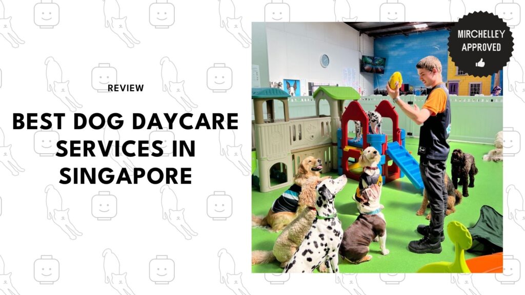 best-dog-daycare-singapore-banner