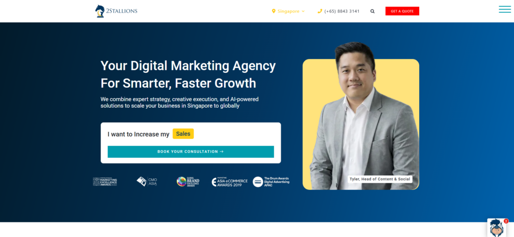 2Stallions Digital Marketing Agency Singapore