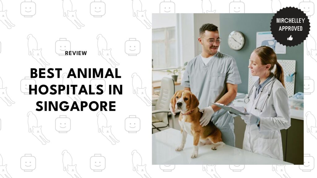 best-animal-hospitals-singapore-banner